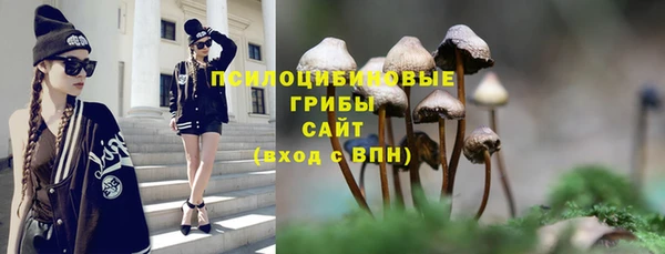 спиды Новокубанск