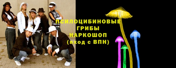 спиды Новокубанск