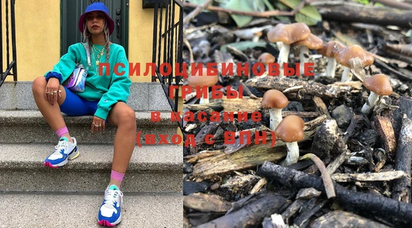 а пвп мука Новозыбков