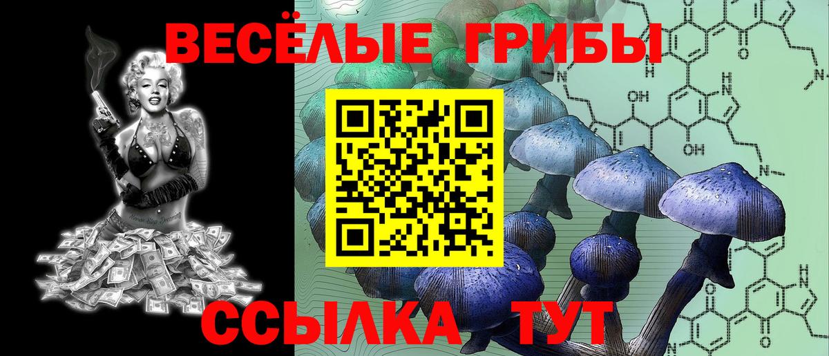 Псилоцибиновые грибы прущие грибы Балабаново
